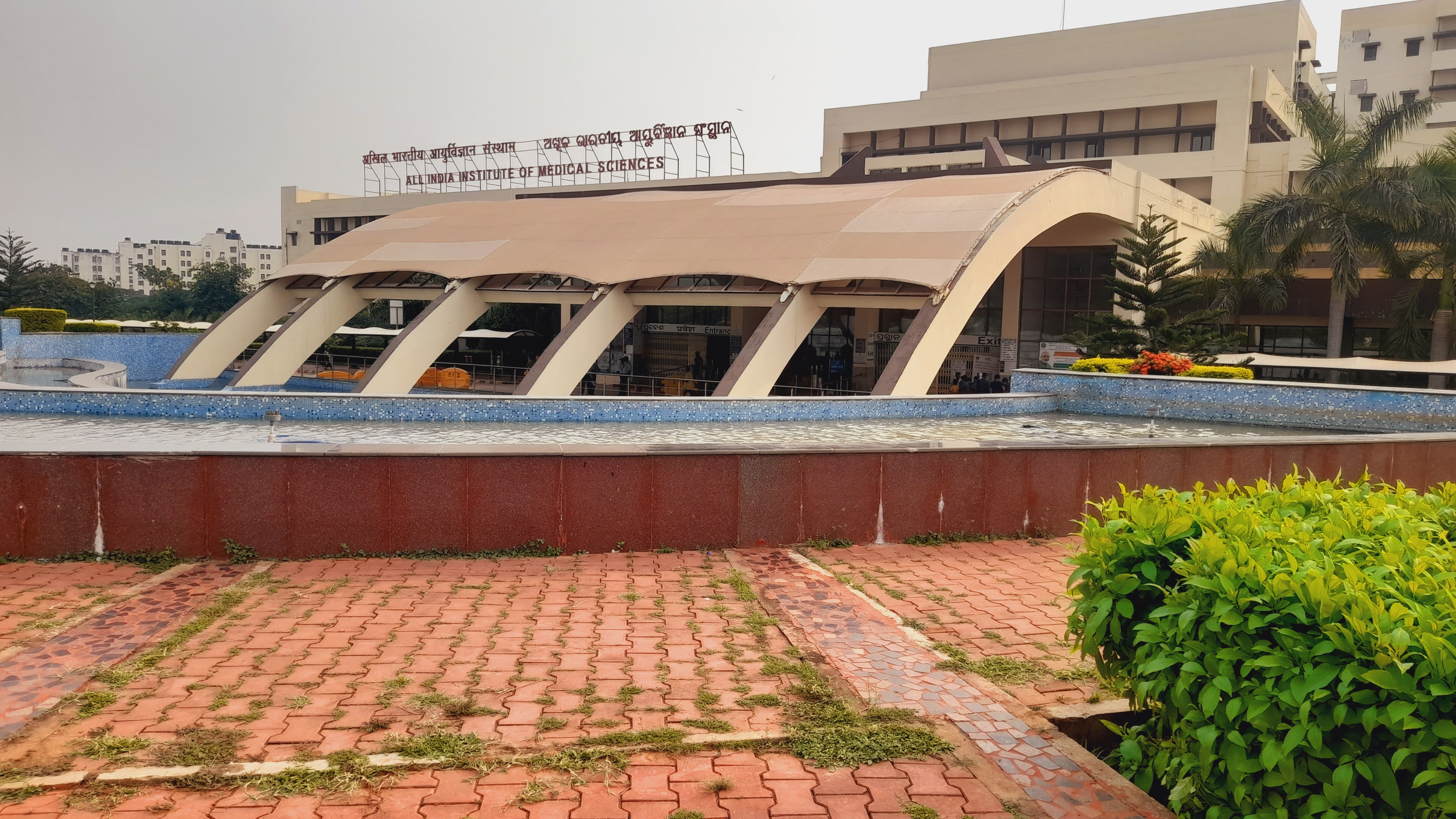 All India Institute of Medical Sciences, Bhubaneswar